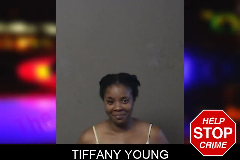 Tiffany Young mugshot – DeKalb County , Georgia Tiffany Young mugshot