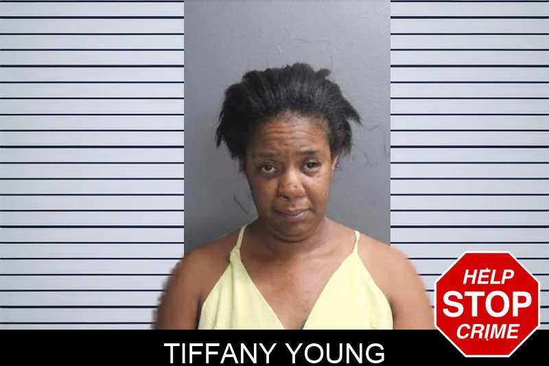 Tiffany Young mugshot – Crisp County , Georgia Tiffany Young mugshot