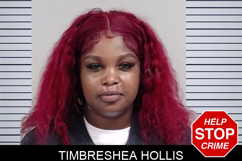 Timbreshea Hollis mugshot – Lowndes County , Georgia Timbreshea Hollis mugshot