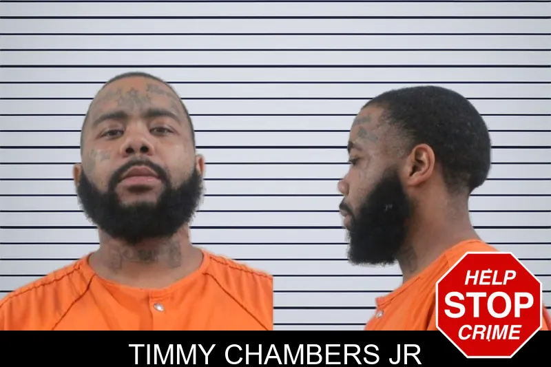 Timmy Chambers Jr mugshot – Houston County , Georgia Timmy Chambers Jr mugshot