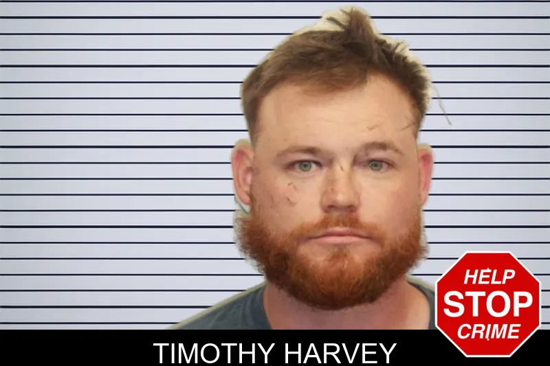 Timothy Harvey mugshot – Chatham County , Georgia Timothy Harvey mugshot