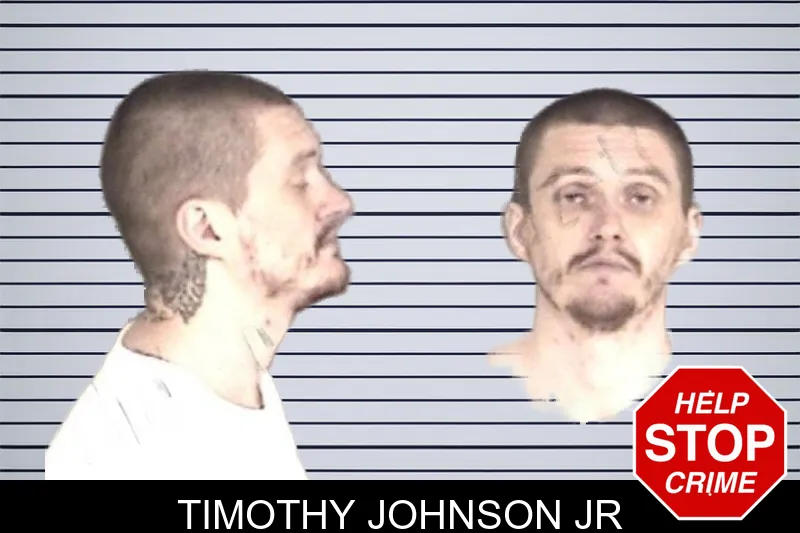 Timothy Johnson Jr mugshot – Barrow County , Georgia Timothy Johnson Jr mugshot