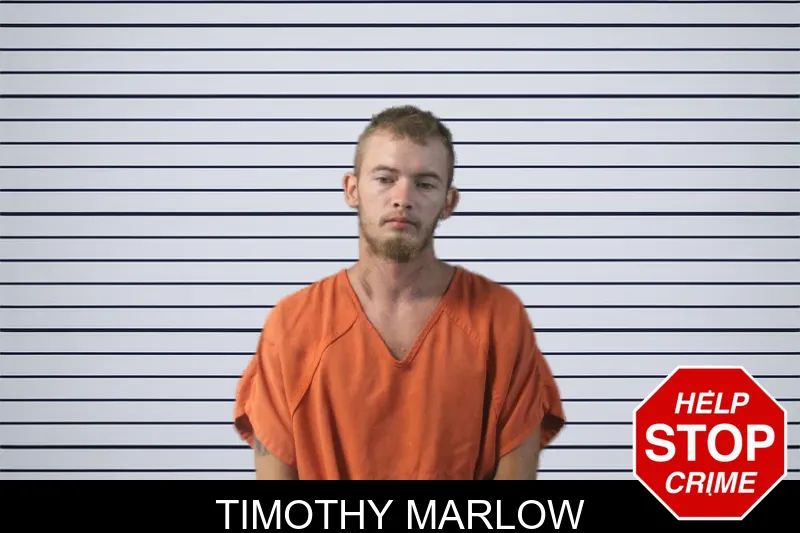 Timothy Marlow mugshot