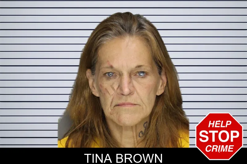 Tina Brown mugshot – Cobb County , Georgia Tina Brown mugshot