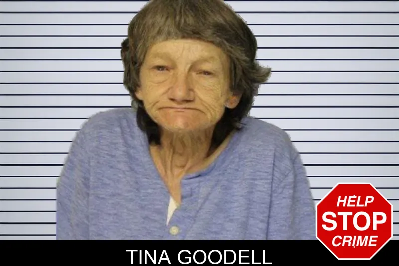 Tina Goodell mugshot