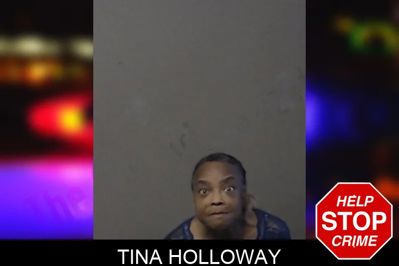 Tina Holloway mugshot – DeKalb County , Georgia Tina Holloway mugshot