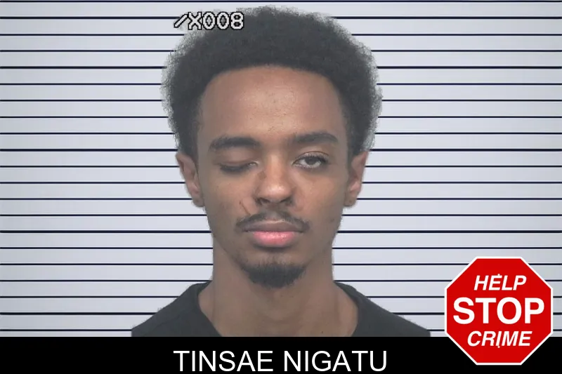 Tinsae Nigatu mugshot – Gwinnett County , Georgia Tinsae Nigatu mugshot