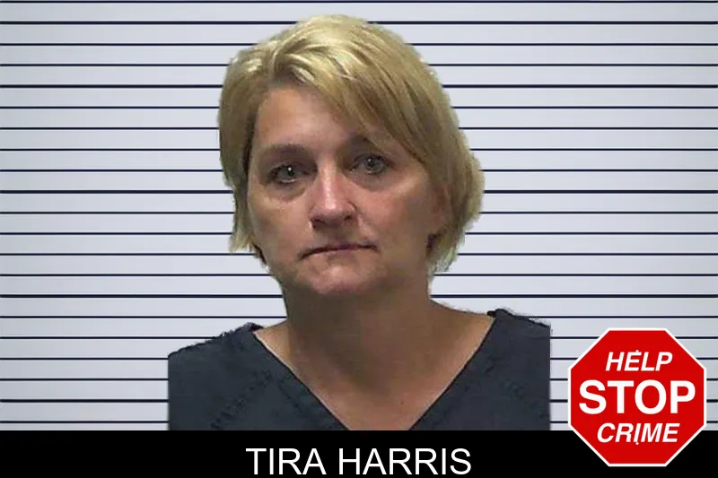 Tira Harris mugshot – Gilmer County , Georgia Tira Harris mugshot