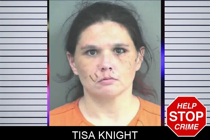 Tisa Knight mugshot – Mitchell County , Georgia Tisa Knight mugshot