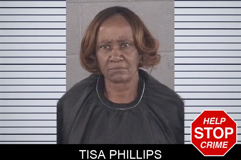 Tisa Phillips mugshot – Spalding County , Georgia Tisa Phillips mugshot