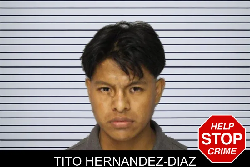 Tito Hernandez-Diaz mugshot – Hall County , Georgia Tito Hernandez-Diaz mugshot