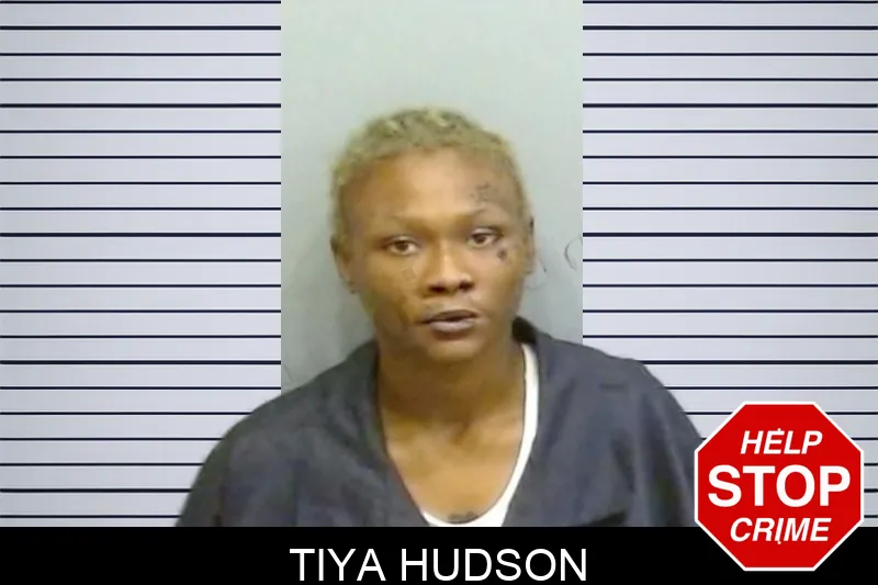 Tiya Hudson mugshot – Fulton County , Georgia Tiya Hudson mugshot