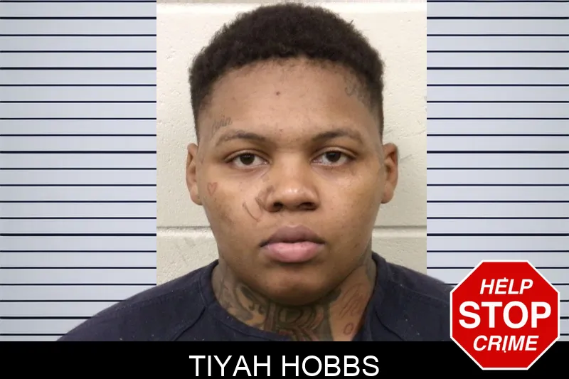 Tiyah Hobbs mugshot – Bulloch County , Georgia Tiyah Hobbs mugshot