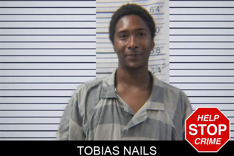 Tobias Nails mugshot – Stephens County , Georgia Tobias Nails mugshot