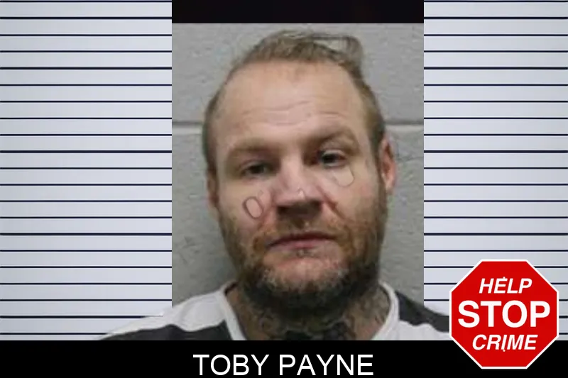 Toby Payne mugshot