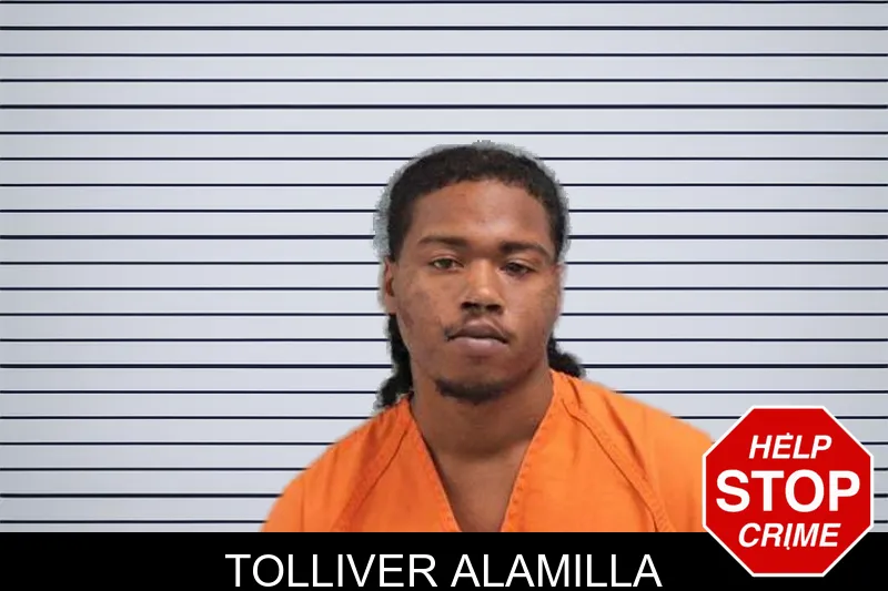 Tolliver Alamilla mugshot