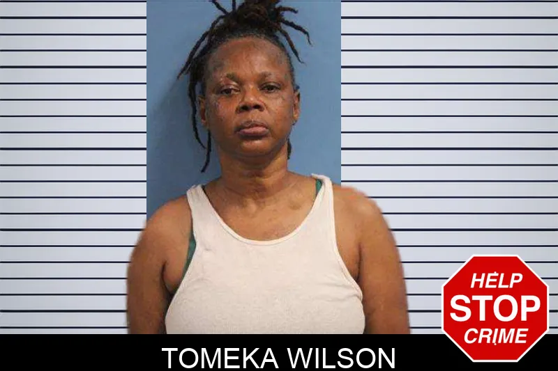 Tomeka Wilson mugshot – Monroe County , Georgia Tomeka Wilson mugshot