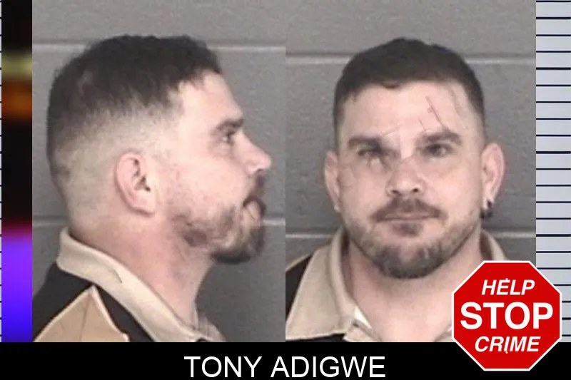 Tony Adigwe mugshot – Barrow County , Georgia Tony Adigwe mugshot