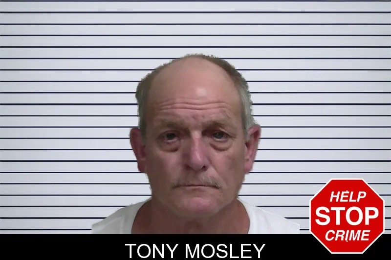 Tony Mosley mugshot – Wayne County , Georgia Tony Mosley mugshot