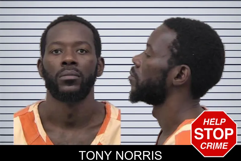 Tony Norris mugshot – Paulding County , Georgia Tony Norris mugshot
