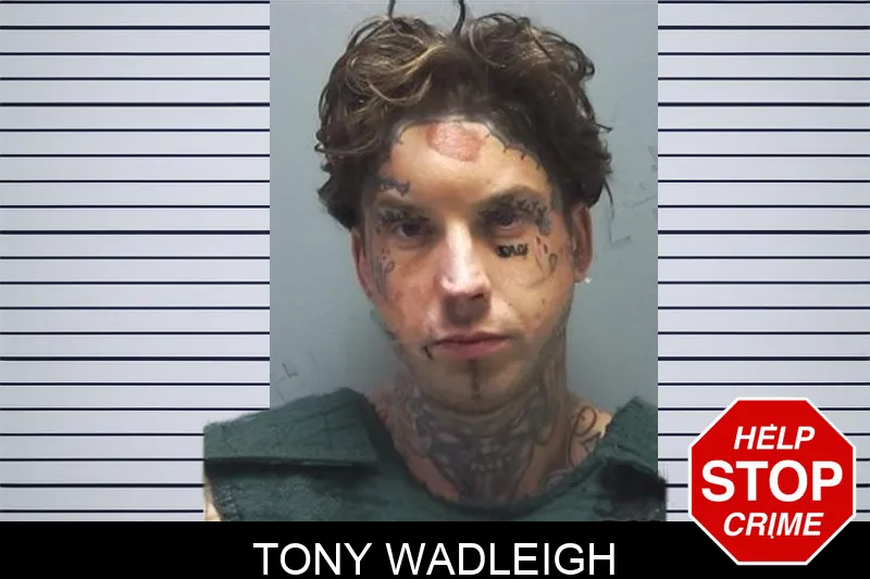 Tony Wadleigh mugshot