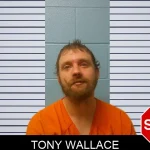 Tony Wallace mugshot – Franklin County , Georgia Tony Wallace mugshot