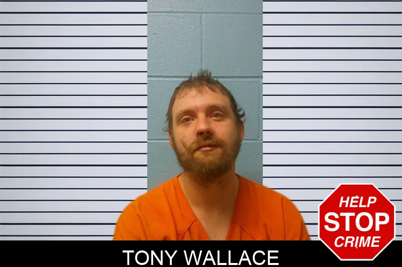 Tony Wallace mugshot – Franklin County , Georgia Tony Wallace mugshot