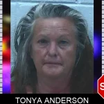 Tonya Anderson mugshot – Jackson County , Georgia Tonya Anderson mugshot