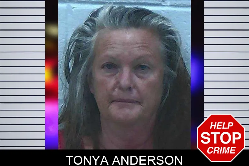 Tonya Anderson mugshot