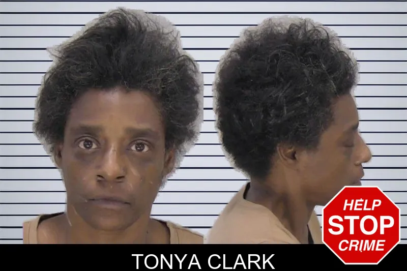 Tonya Clark mugshot – Richmond County , Georgia Tonya Clark mugshot