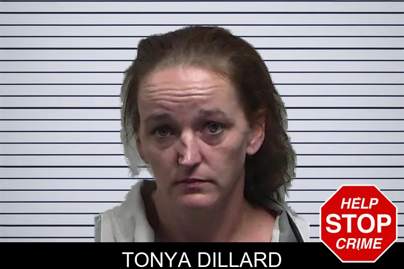 Tonya Dillard mugshot – Tift County , Georgia Tonya Dillard mugshot