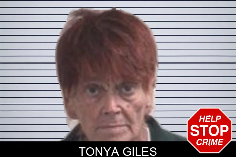 Tonya Giles mugshot – Henry County , Georgia Tonya Giles mugshot
