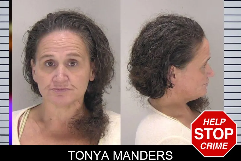 Tonya Manders mugshot