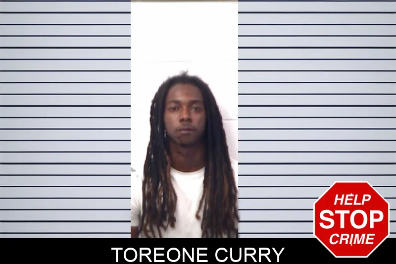 Toreone Curry mugshot