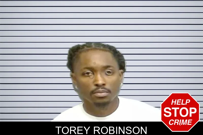 Torey Robinson mugshot