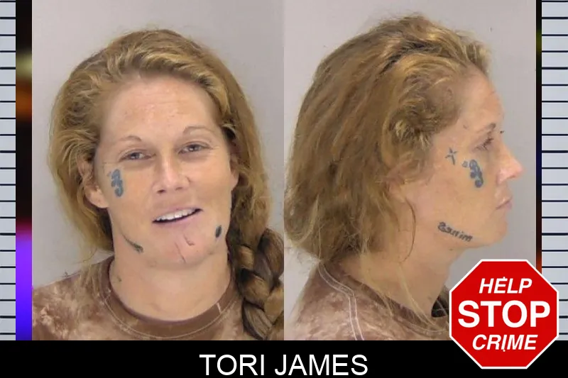 Tori James mugshot – Richmond County , Georgia Tori James mugshot