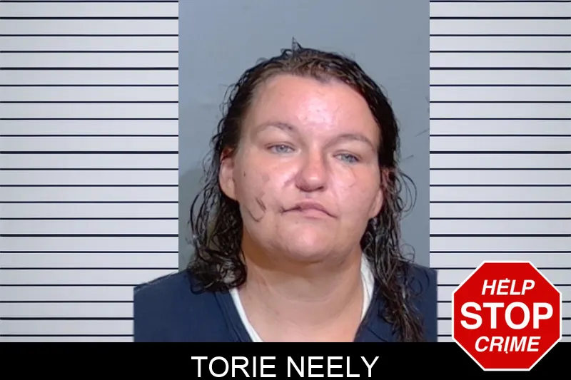 Torie Neely mugshot – Glynn County , Georgia Torie Neely mugshot
