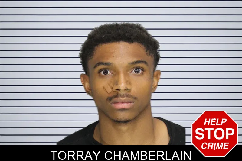 Torray Chamberlain mugshot – Cobb County , Georgia Torray Chamberlain mugshot
