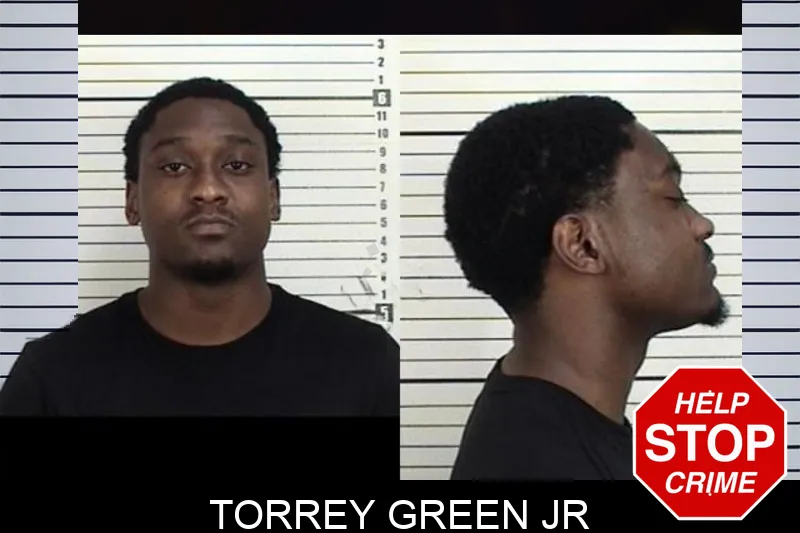 Torrey Green Jr mugshot – Camden County , Georgia Torrey Green Jr mugshot