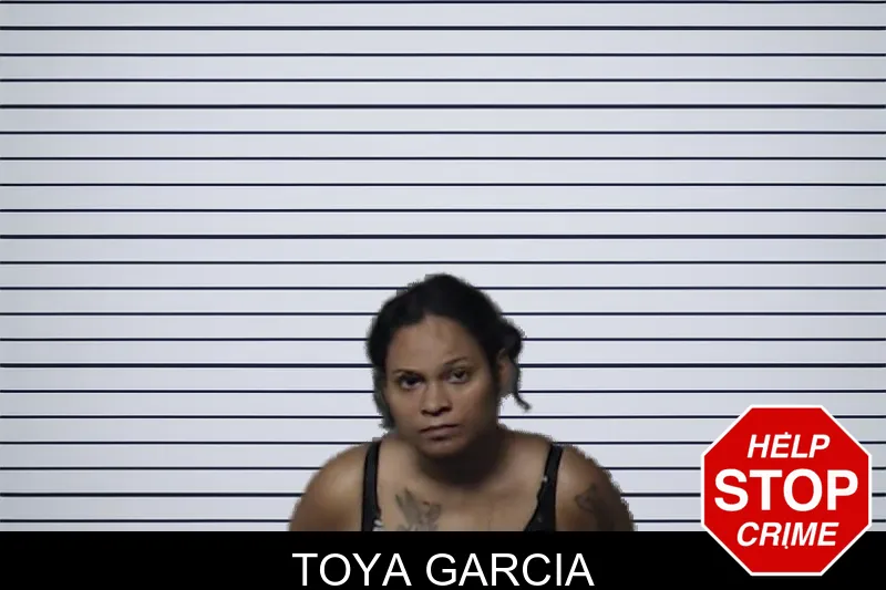 Toya Garcia mugshot