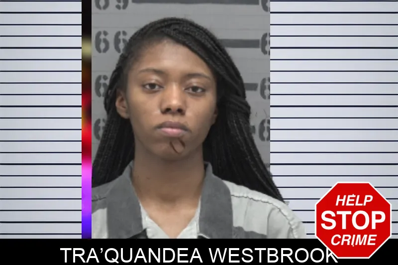 Tra’Quandea Westbrook mugshot – Dougherty County , Georgia Tra’Quandea Westbrook mugshot