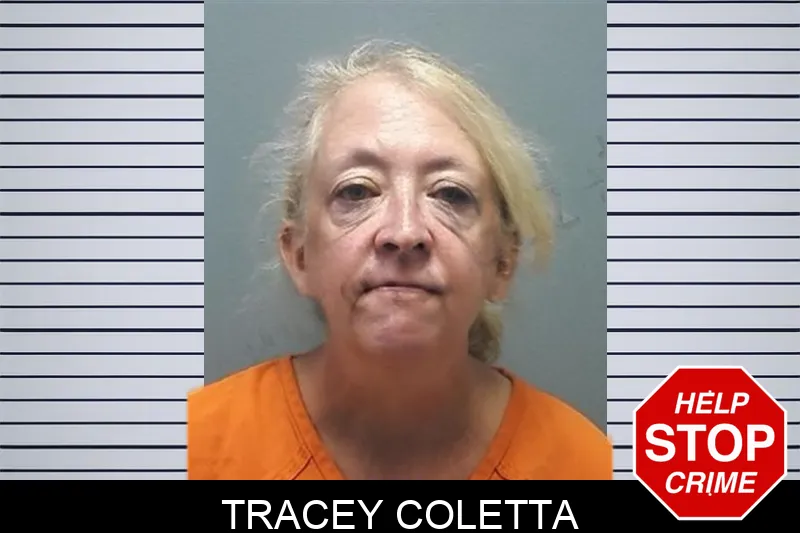 Tracey Coletta mugshot – Cherokee County , Georgia Tracey Coletta mugshot