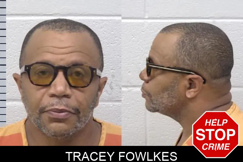 Tracey Fowlkes mugshot – Paulding County , Georgia Tracey Fowlkes mugshot