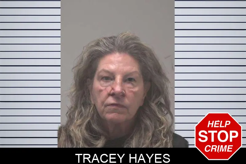Tracey Hayes mugshot – Coweta County , Georgia Tracey Hayes mugshot