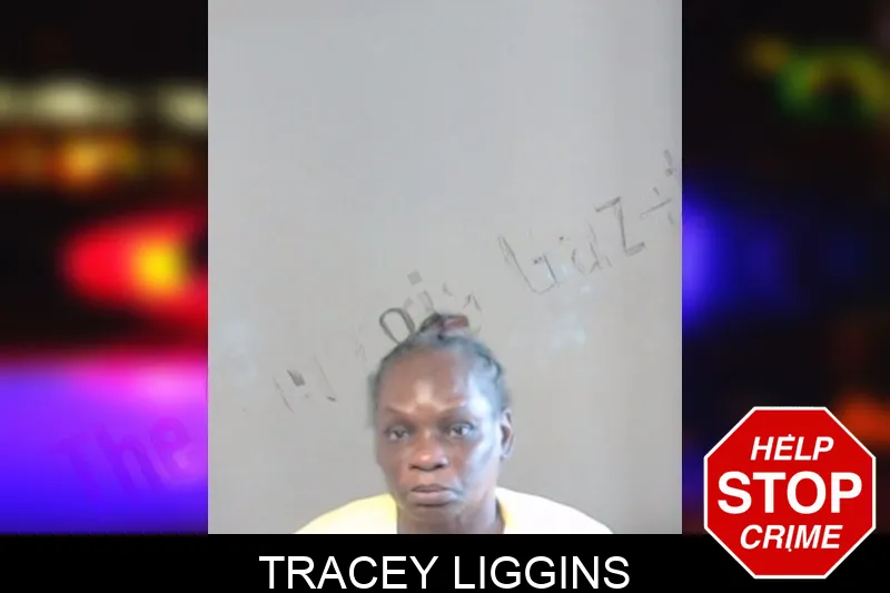 Tracey Liggins mugshot – DeKalb County , Georgia Tracey Liggins mugshot