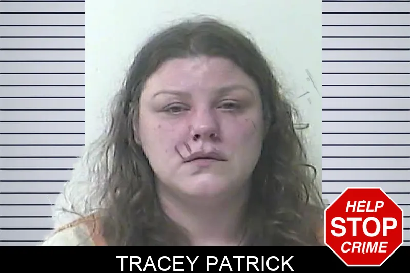Tracey Patrick mugshot – Oconee County , Georgia Tracey Patrick mugshot