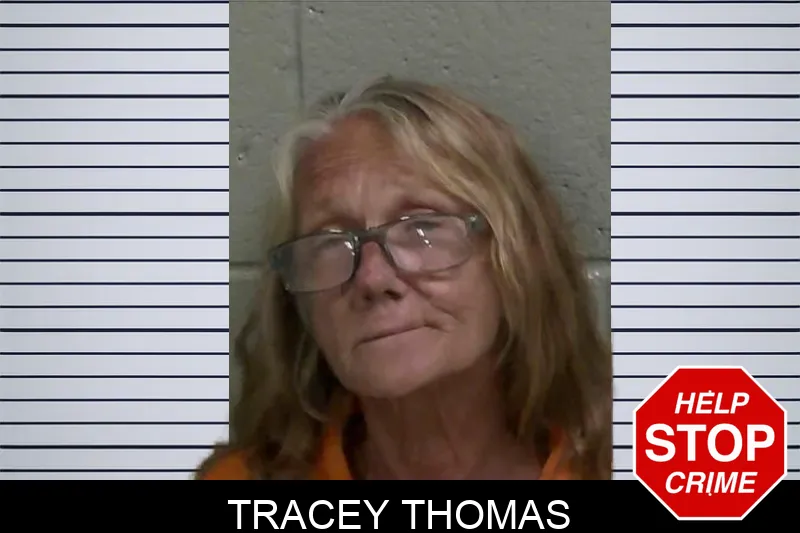Tracey Thomas mugshot – Wayne County , Georgia Tracey Thomas mugshot