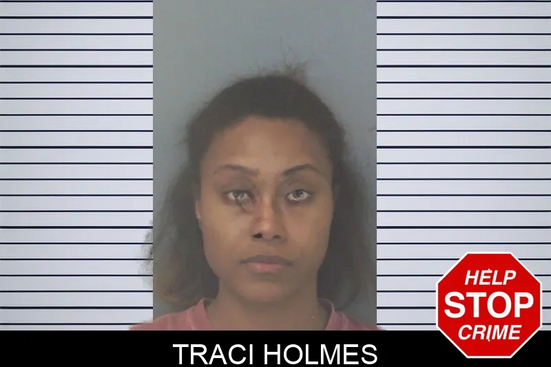 Traci Holmes mugshot – Douglas County , Georgia Traci Holmes mugshot