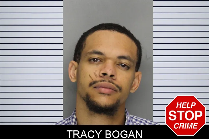 Tracy Bogan mugshot