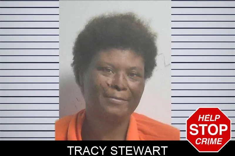 Tracy Stewart mugshot – Colquitt County , Georgia Tracy Stewart mugshot